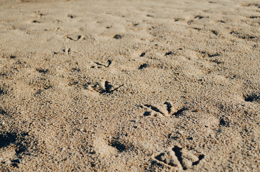 photo-1511285446334-fbdfad8eef1e